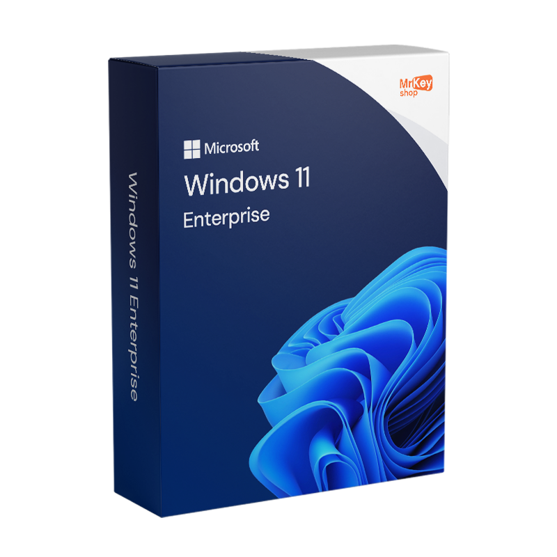 Windows 11 Enterprise 64 bit - Licenza Microsoft