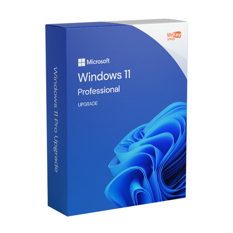 Aggiornare e fare un Upgrade a Windows 11 Professional - Licenza Microsoft-image-70